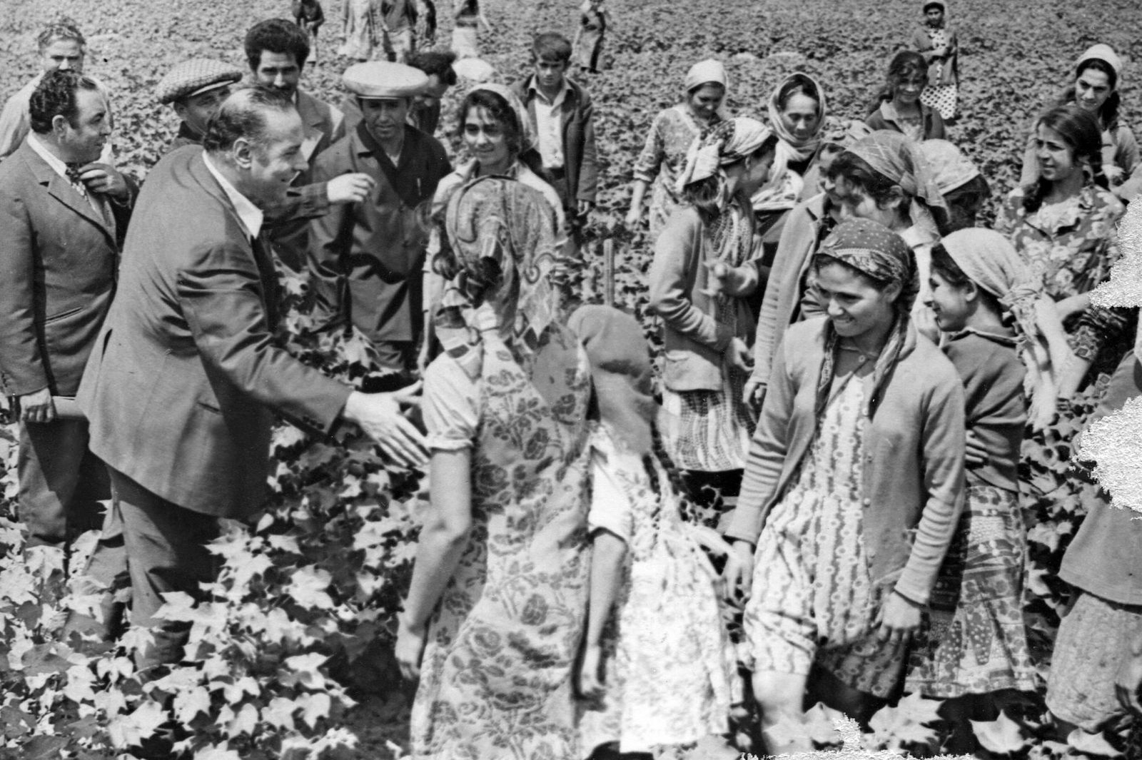 Ulu Öndər R.Axundov adına kolxozun pambıq tarlasında